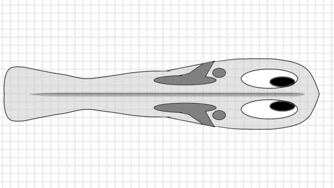 A gray flatworm-fish mixture-looking lifeform